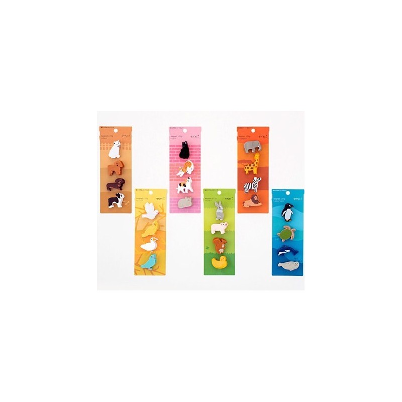 Magnet Clip & Mini Magnets