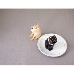 Cat & Dog