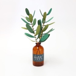 BC003OL SOEL Olive