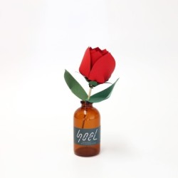 BC003 SOEL Rose