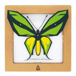 BC00202 SQAR Green Butterfly