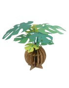 Bog Craft