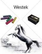 Westek