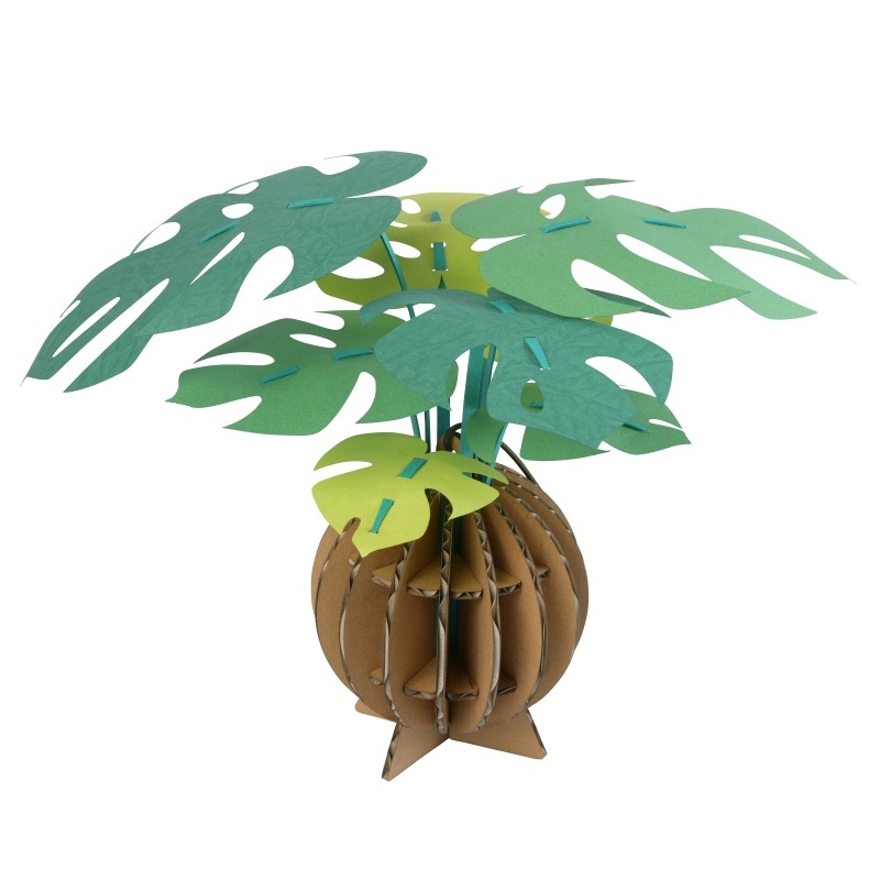 Bog Craft