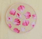 TU001PK1 Coaster Single Pink