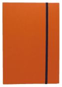 YT002A5VM Accordion Note A5 Vermillion