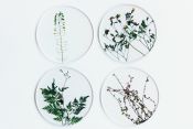 TU001BA Coaster Set Botanics A