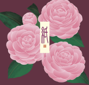 II225D2 Kami Letter Set D2