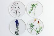 TU001BC Coaster Set Botanics C
