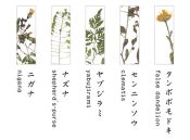 TU002BA Chopstick Rest Set Botanics A