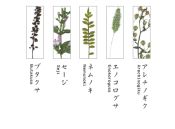 TU002BB Chopstick Rest Set Botanics B